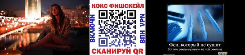 COCAIN Fish Scale  MEGA ссылки  Кузнецк 