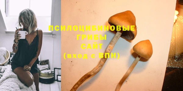прущие крисы Бородино