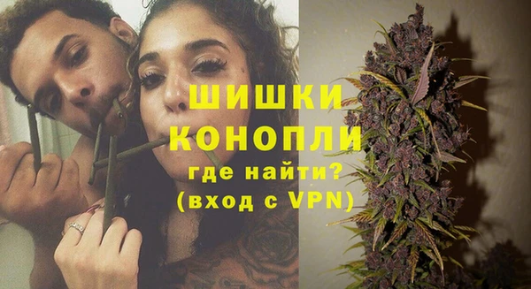 соль ск Богородск