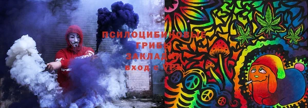 соль ск Богородск