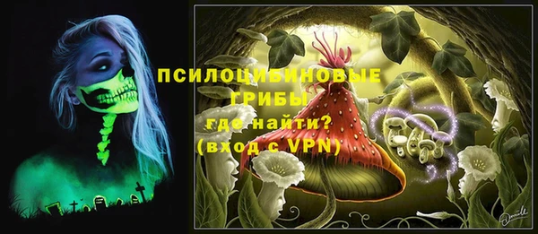 2c-b Богородицк
