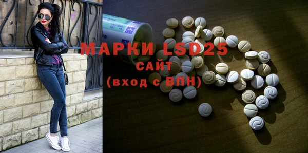 ГАЛЛЮЦИНОГЕННЫЕ ГРИБЫ Богданович