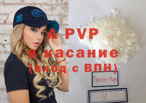 ГАЛЛЮЦИНОГЕННЫЕ ГРИБЫ Богданович