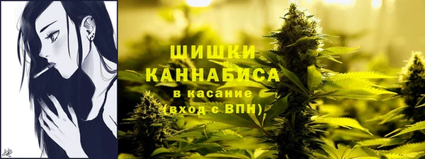 соль ск Богородск